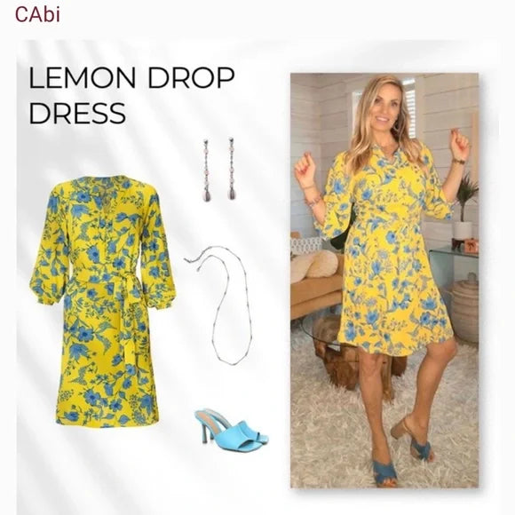 Cabi dream dress clearance