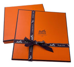 HERMES NEW COACH F. DE LA PERRIERE SCARF
